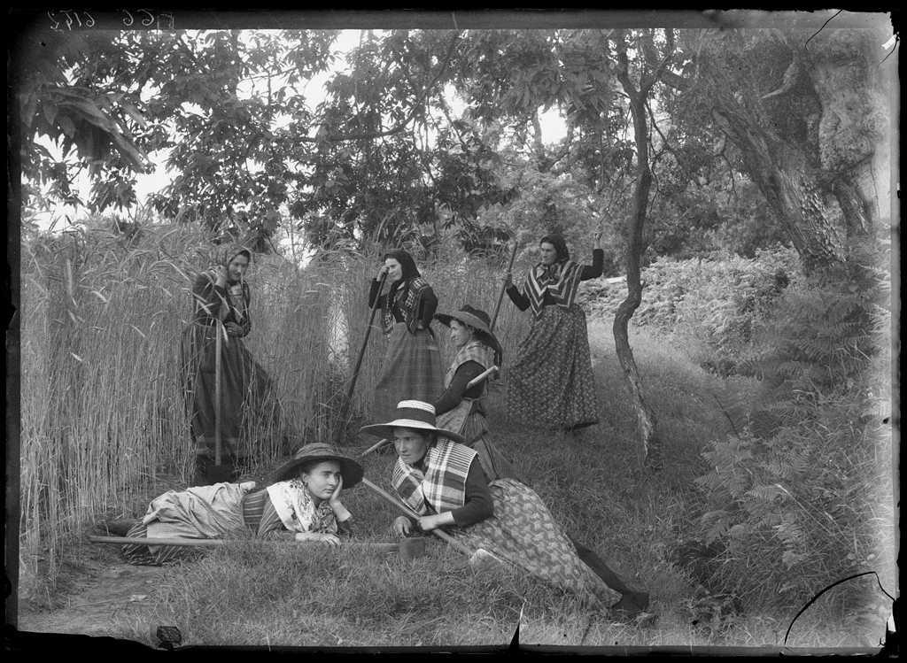 Les Sarcleuses